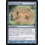 Magic: The Gathering Training Grounds (091) Lightly Played