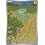 Pokemon Electrike (196) Lightly Played Holofoil