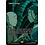 Magic: The Gathering Fabled Passage (Borderless) (057) Lightly Played