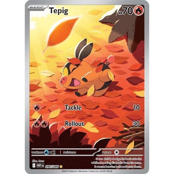 Pokemon Tepig (096) Lightly Played Holofoil