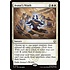 Magic: The Gathering Avatar's Wrath (012) Lightly Played