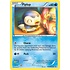 Pokemon Piplup (RC6) Lightly Played Holofoil