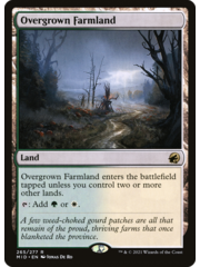 Magic: The Gathering Overgrown Farmland (265) Lightly Played