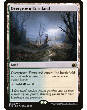 Magic: The Gathering Overgrown Farmland (265) Lightly Played