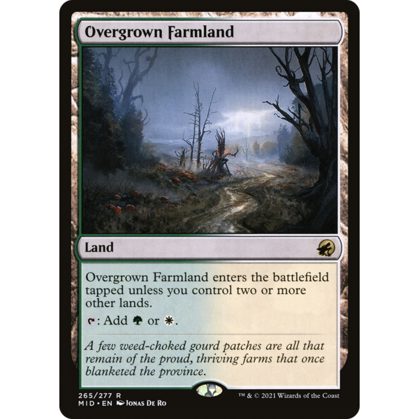 Magic: The Gathering Overgrown Farmland (265) Lightly Played