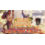 Disney Lorcana 6/22/26 Fountain Valley Lorcana Core Constructed Monday 630 PM