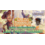Disney Lorcana 6/25/26 Lake Forest Lorcana Core Constructed Thursday 630 PM