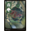Magic: The Gathering Forest (JP Full Art) (302) Lightly Played