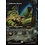 Magic: The Gathering Undercity Sewers (Borderless) (020) Lightly Played Foil