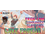 Magic: The Gathering 6/5/26 Lake Forest Pride FNM MTG Commander Slay Pass 630 PM