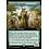 Magic: The Gathering Formidable Speaker (Extended Art) (176) Lightly Played Foil