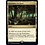 Magic: The Gathering Forbidden Orchard (323) Lightly Played