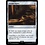 Magic: The Gathering Arcane Signet (224) Lightly Played Foil