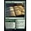 Magic: The Gathering Monster Manual // Zoological Study (242) Lightly Played