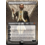 Magic: The Gathering Ral Zarek, Guest Lecturer (Borderless) (282) Lightly Played
