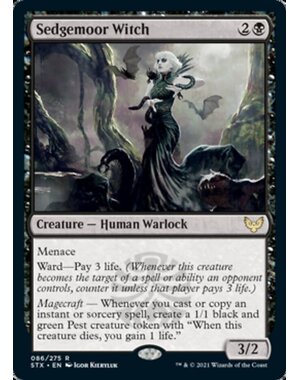 Magic: The Gathering Sedgemoor Witch (086) Lightly Played