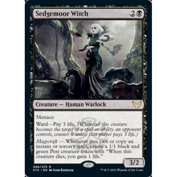 Magic: The Gathering Sedgemoor Witch (086) Lightly Played