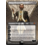 Magic: The Gathering Ral Zarek, Guest Lecturer (Borderless) (282) Lightly Played Foil