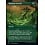 Magic: The Gathering Rampant Growth (Borderless Alternate Art) (371) Lightly Played Foil