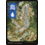 Magic: The Gathering Island (JP Full Art) (295) Lightly Played