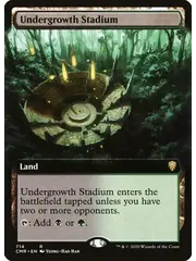 Magic: The Gathering Undergrowth Stadium (Extended Art) Near Mint Foil