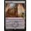 Magic: The Gathering Cabal Coffers (301) Lightly Played