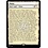 Magic: The Gathering Plains (Full-Text Lands) (254) Lightly Played