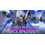 Bandai 7/28/26 Oceanside Gundam Freedom Ascension [GD05] Release Event Tuesday 630 PM