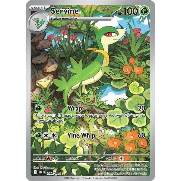 Pokemon Servine (088) Near Mint Holofoil