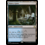 Magic: The Gathering Watery Grave (291) Lightly Played