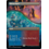 Magic: The Gathering Shivan Reef (Borderless) (380) Lightly Played