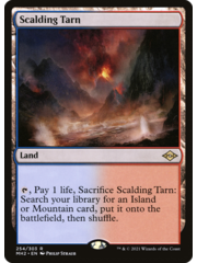 Magic: The Gathering Scalding Tarn (254) Lightly Played