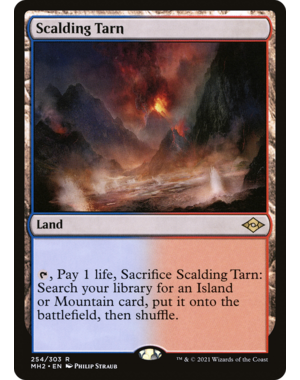 Magic: The Gathering Scalding Tarn (254) Lightly Played