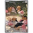 Pokemon Spearow (151) Lightly Played Holofoil
