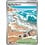 Pokemon Surfing Beach (114) Lightly Played Holofoil