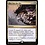 Magic: The Gathering Blot Out the Sky (167) Lightly Played Foil