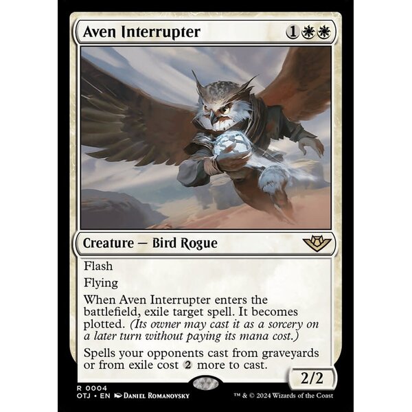 Magic: The Gathering Aven Interrupter (004) Lightly Played