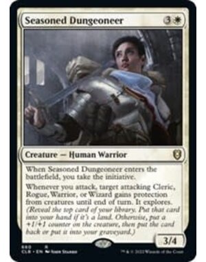 Magic: The Gathering Seasoned Dungeoneer (660) Lightly Played