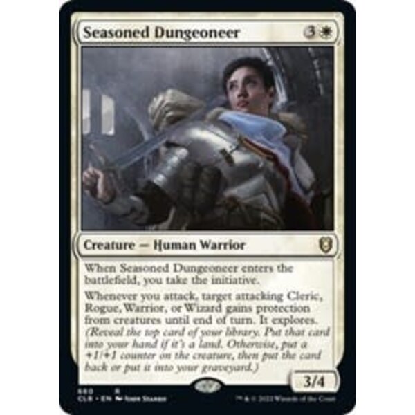Magic: The Gathering Seasoned Dungeoneer (660) Lightly Played