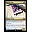 Magic: The Gathering Psychic Frog (199) Lightly Played