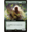 Magic: The Gathering Circle of Dreams Druid (Extended Art) (383) Lightly Played Foil