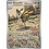 Pokemon Beautifly (219) Lightly Played Holofoil