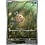 Pokemon Feebas (198) Lightly Played Holofoil