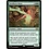 Magic: The Gathering Seedborn Muse (268) Near Mint
