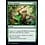 Magic: The Gathering Elven Ambush (391) Near Mint