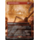Magic: The Gathering Spiteful Banditry (Borderless) (439) Lightly Played Foil