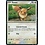 Pokemon Eevee (Holiday Calendar) (133) Near Mint Holofoil