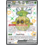 Pokemon Forretress ex (212) Lightly Played Holofoil