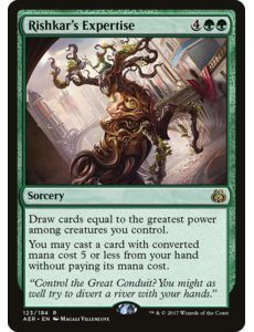Magic: The Gathering Rishkar's Expertise (123) Lightly Played