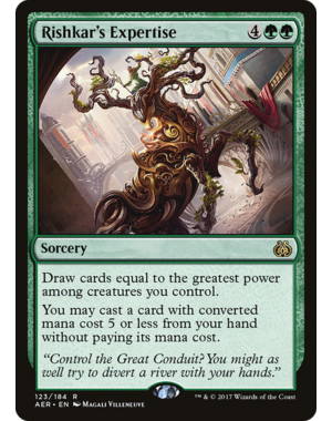 Magic: The Gathering Rishkar's Expertise (123) Lightly Played